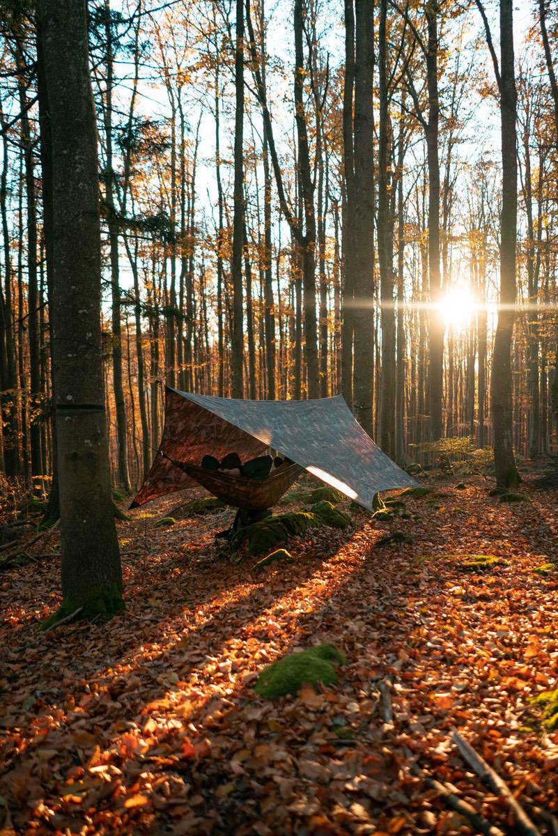 Amazonas Traveller Tarp Forest
