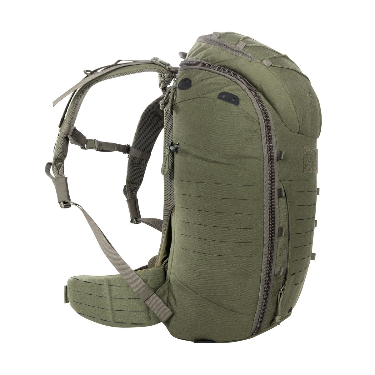 Tasmanian-Tiger-TT-Molle-Hip-Belt-7286331f